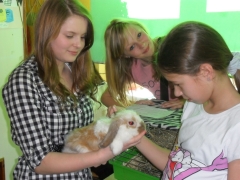 zywe_lekcje_biologii_13