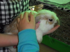 zywe_lekcje_biologii_14