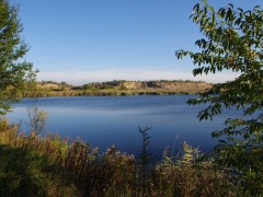 europejskie_dni_ptakow_4