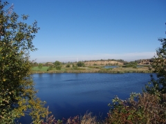 europejskie_dni_ptakow_5