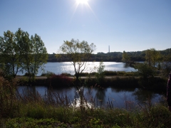 europejskie_dni_ptakow_6