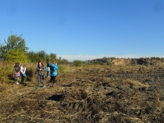 europejskie_dni_ptakow_8