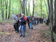 jura_krakowsko-czestochowska_07