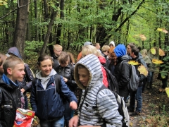 jura_krakowsko-czestochowska_08