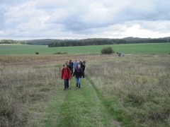 jura_krakowsko-czestochowska_10