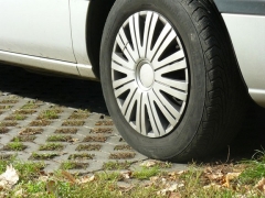 plener_fotograficzny_1