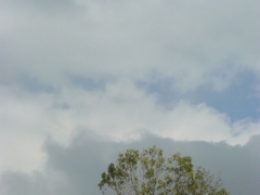 plener_fotograficzny_2