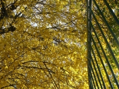 plener_fotograficzny_9