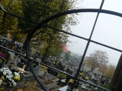 plener_fotograficzny_na_cmentarzu_3