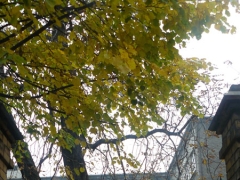 plener_fotograficzny_na_cmentarzu_6