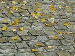 plener_fotograficzny_na_cmentarzu_8