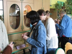 wystawy_szkolnych_hodowli_oraz_mineralow_15