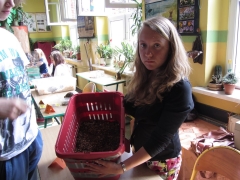 wystawy_szkolnych_hodowli_oraz_mineralow_2