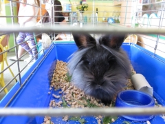 wystawy_szkolnych_hodowli_oraz_mineralow_3