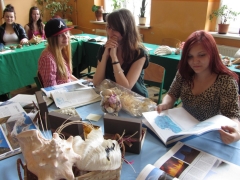 wystawy_szkolnych_hodowli_oraz_mineralow_5