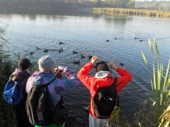 europejskie_dni_ptakow_2013_1