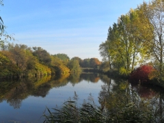 europejskie_dni_ptakow_2013_2