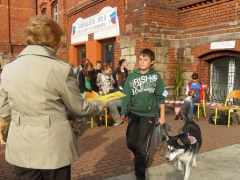 szkolna_wystawa_psow_2