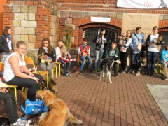 szkolna_wystawa_psow_3