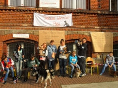 szkolna_wystawa_psow_4