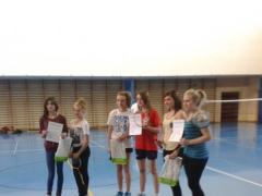 badminton_2014_2