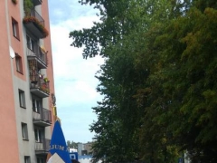 80-rocznica-wybuchu-IIWS_2019_2