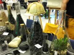 sp39_na_festiwalu_nauki_2020_9