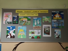 prace_konkursowe_gdzie_te_bociany_2023_14