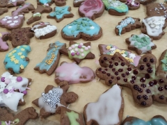 laboratoria_przyszlosci_2024_01_26_10