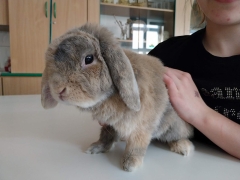 laboratoria_przyszlosci_2024_04_07