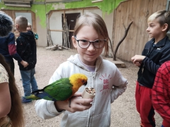 wizyta_2a_w_papugarni_2024_03