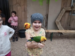 wizyta_2a_w_papugarni_2024_05