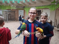 wizyta_2a_w_papugarni_2024_08