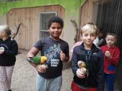 wizyta_2a_w_papugarni_2024_09