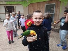 wizyta_2a_w_papugarni_2024_10