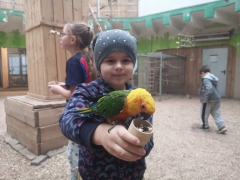 wizyta_2a_w_papugarni_2024_11