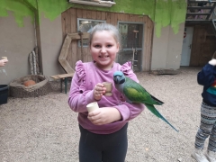 wizyta_2a_w_papugarni_2024_13