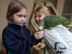 wizyta_2a_w_papugarni_2024_14