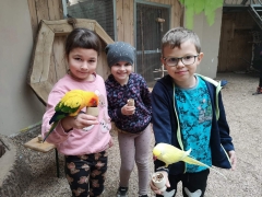 wizyta_2a_w_papugarni_2024_15