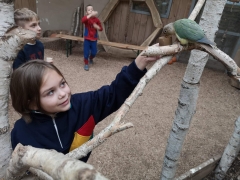 wizyta_2a_w_papugarni_2024_16