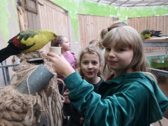 wizyta_2a_w_papugarni_2024_17