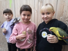 wizyta_2a_w_papugarni_2024_18