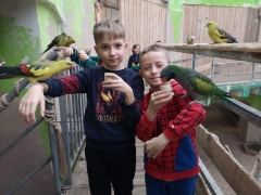 wizyta_2a_w_papugarni_2024_19