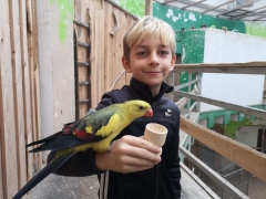 wizyta_2a_w_papugarni_2024_20